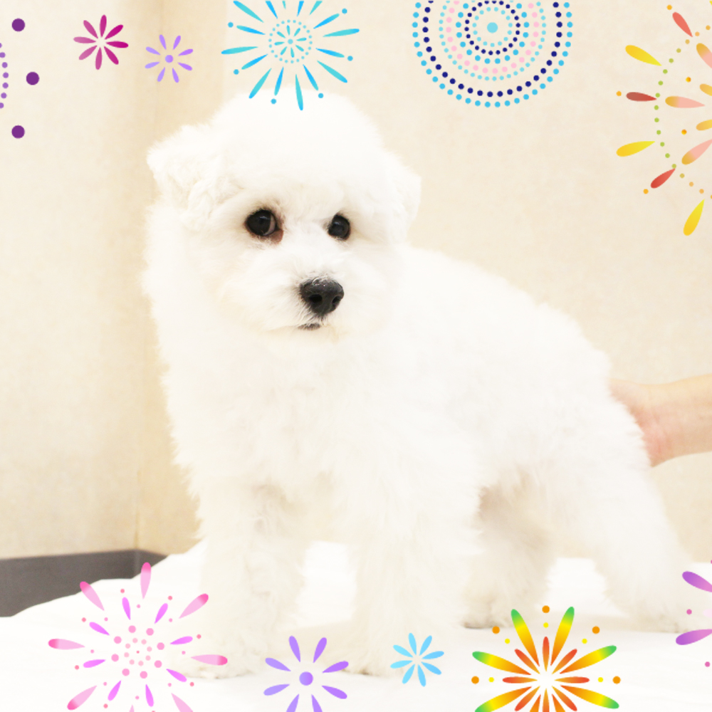 7月で1歳になりました！
